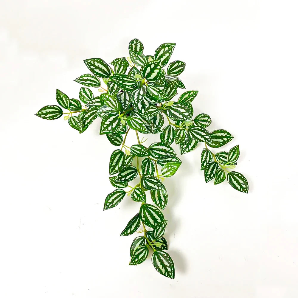 Dlight Decor Scindapsus Vine for Wall Hanging and Garden Styling