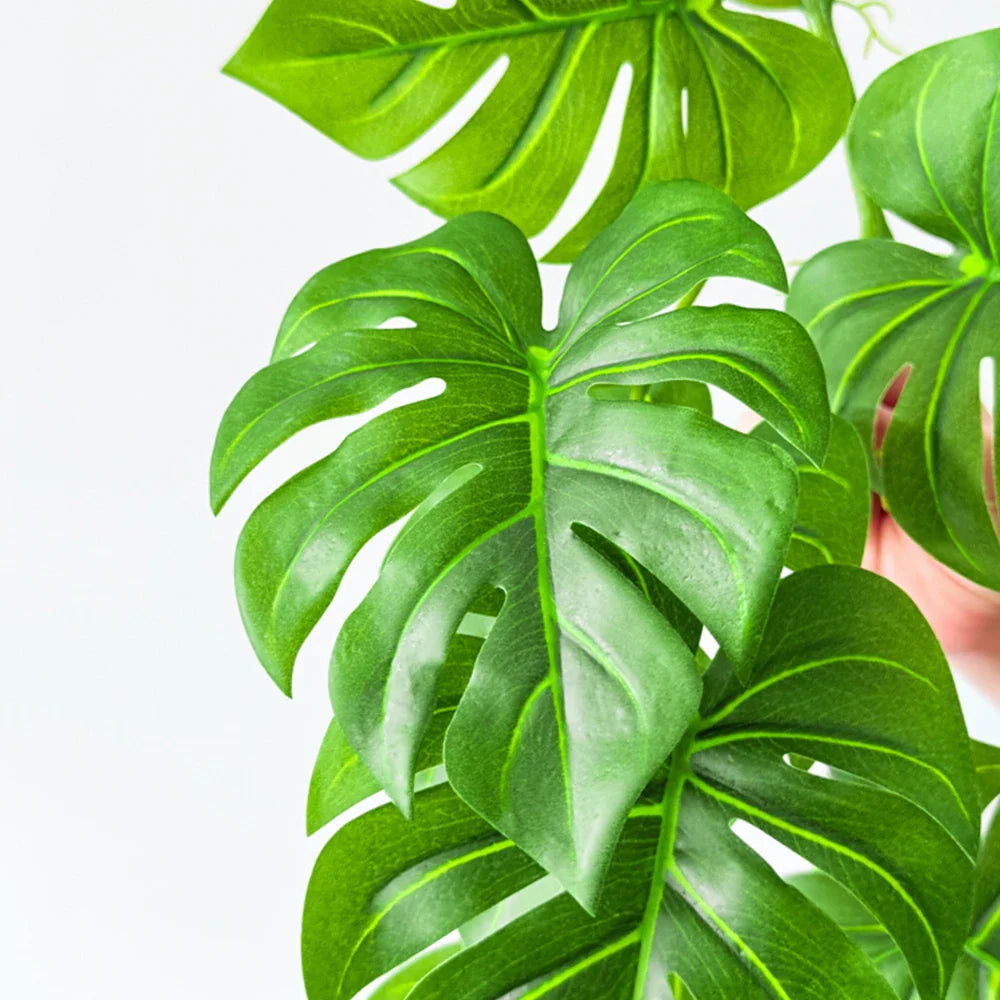 Dlight Decor 180cm Hanging Monstera Vine with Turtle Leaves