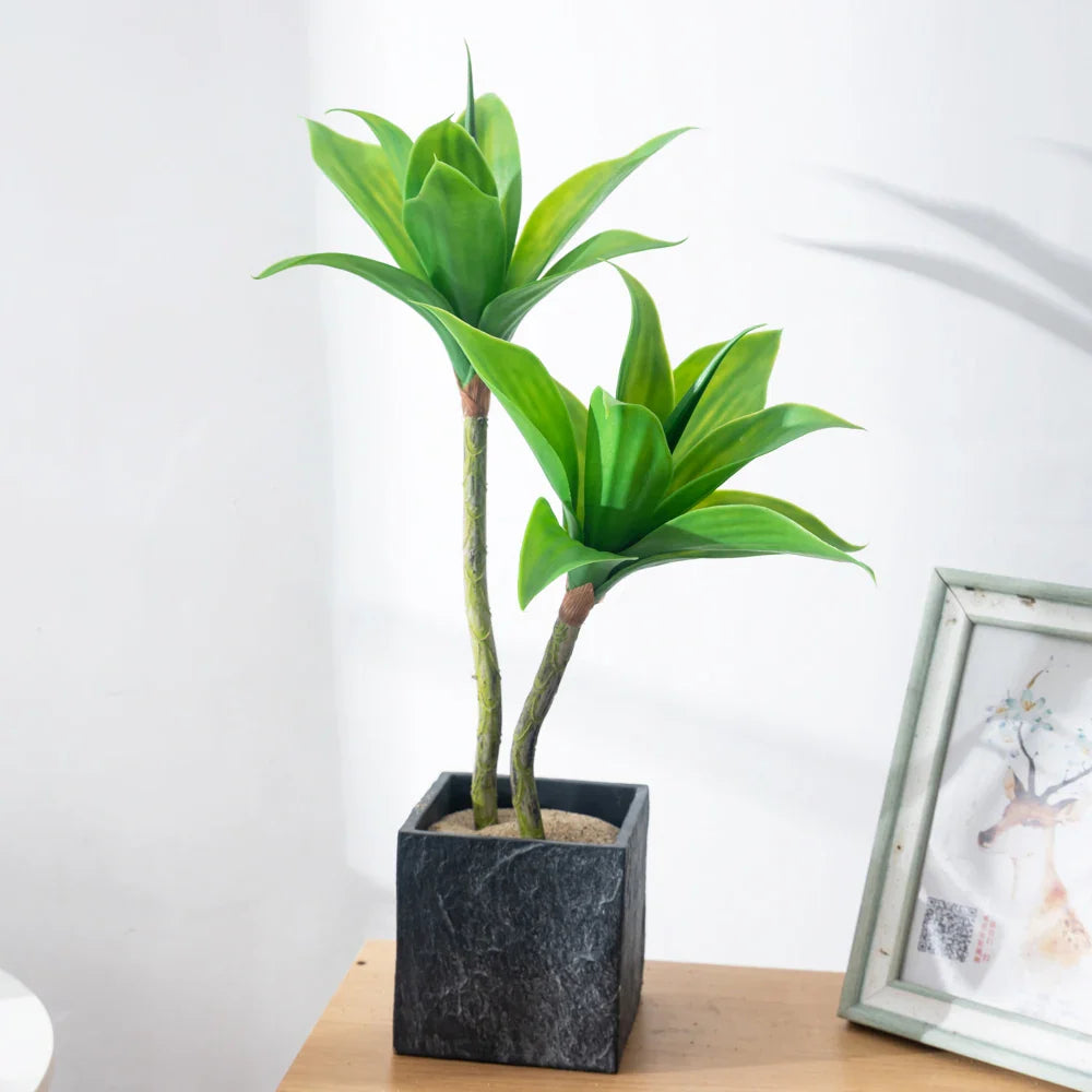 Dlight Decor Agave Succulent Plant for Home and Balcony Display