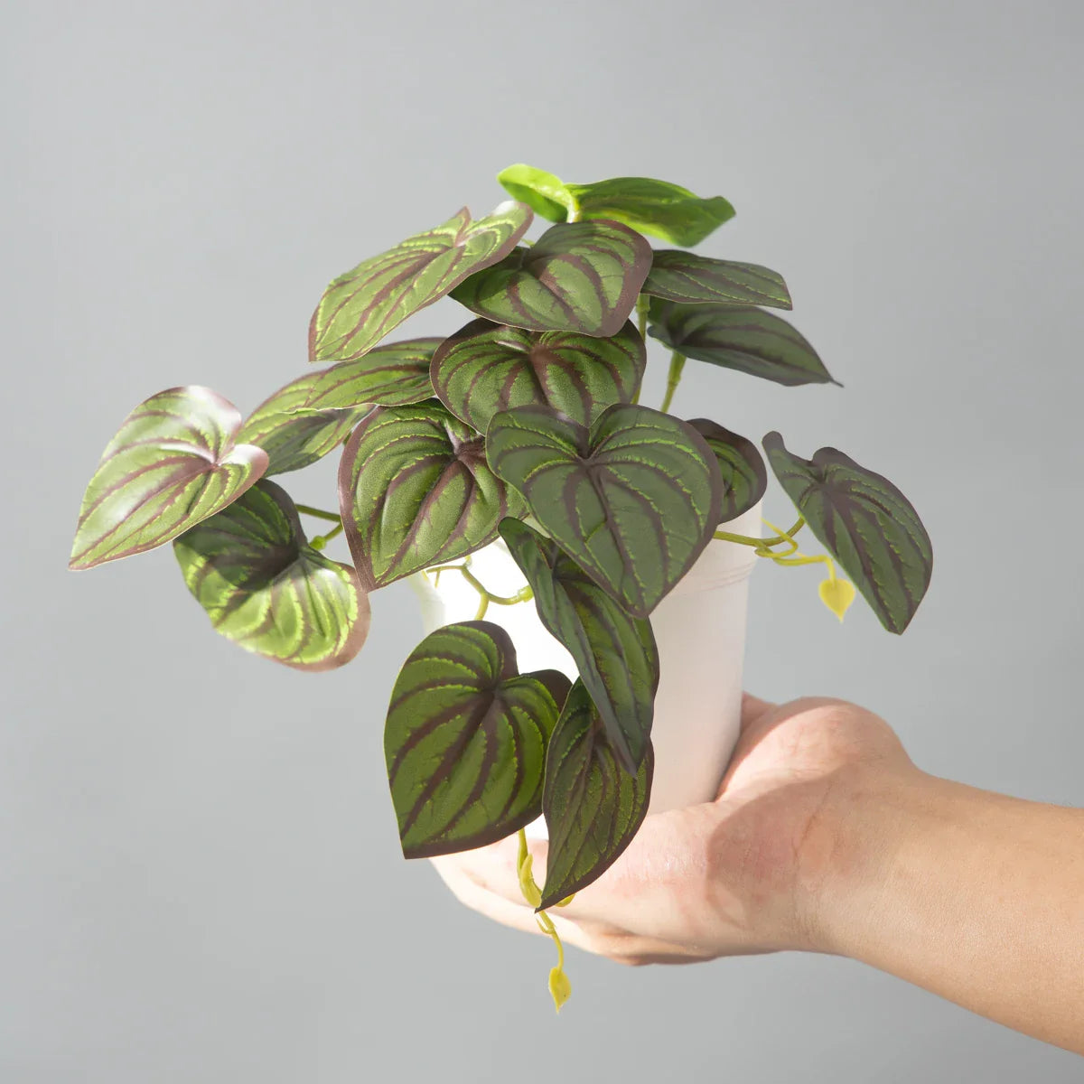 Dlight Decor 25cm Monstera Leaf Vine for Desktop and Holiday Decor