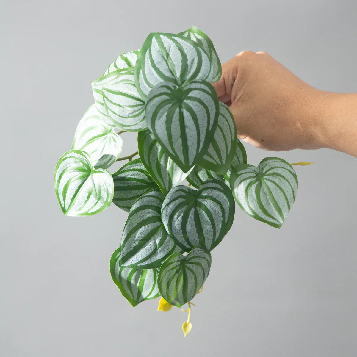 Dlight Decor 25cm Monstera Leaf Vine for Desktop and Holiday Decor F
