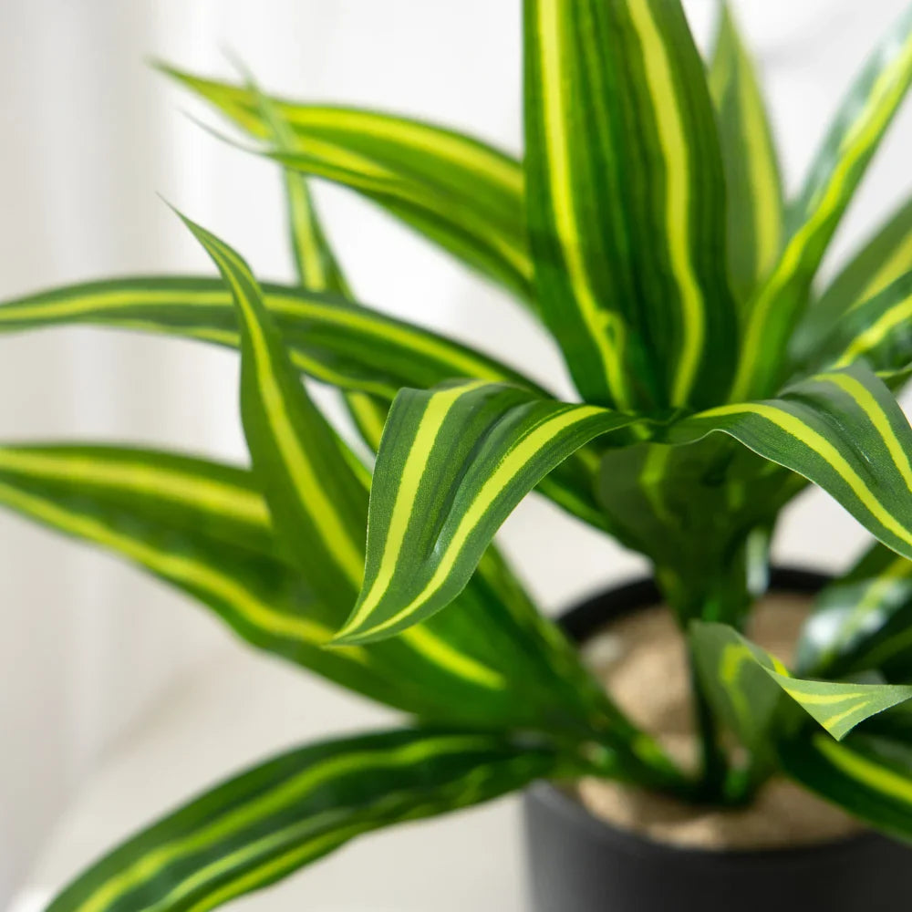 Dlight Decor Aloe Leaf Plant for Fresh Indoor Outdoor Style