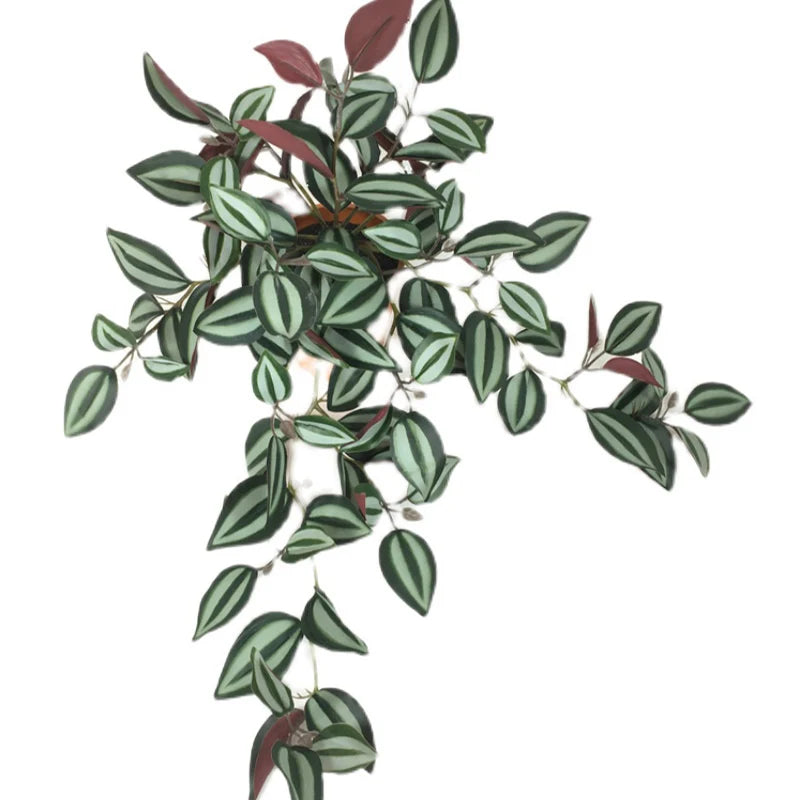 Dlight Decor Scindapsus Vine for Wall Hanging and Garden Styling 45cm B