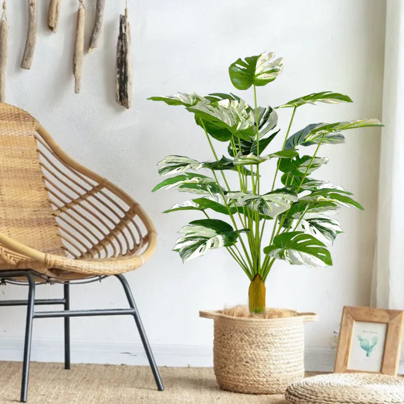 Dlight Decor Monstera Turtle Leaf Plant for Indoor and Garden Display