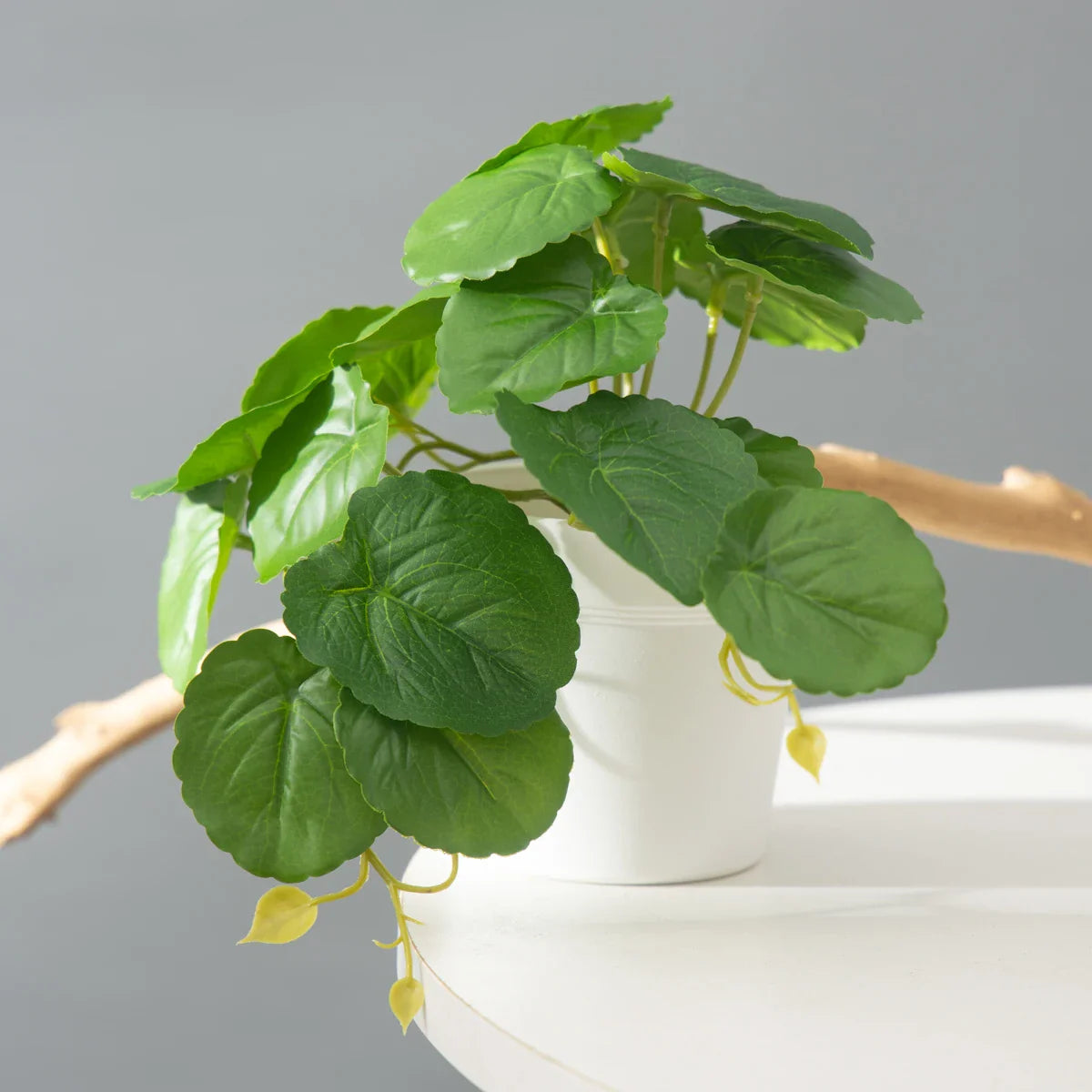 Dlight Decor 25cm Monstera Leaf Vine for Desktop and Holiday Decor