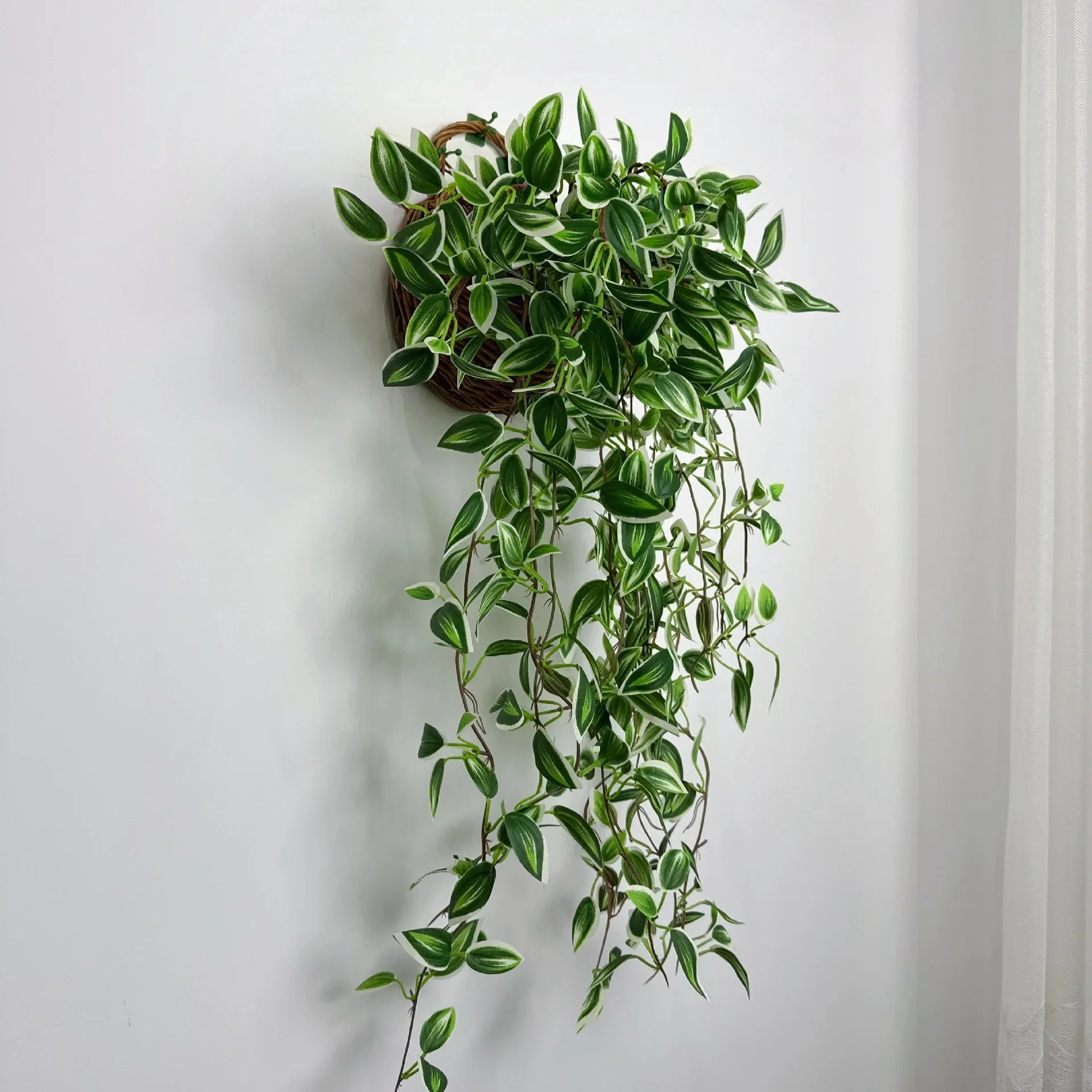 Dlight Decor 75cm Hanging Eucalyptus Vine with Scindapsus Leaves