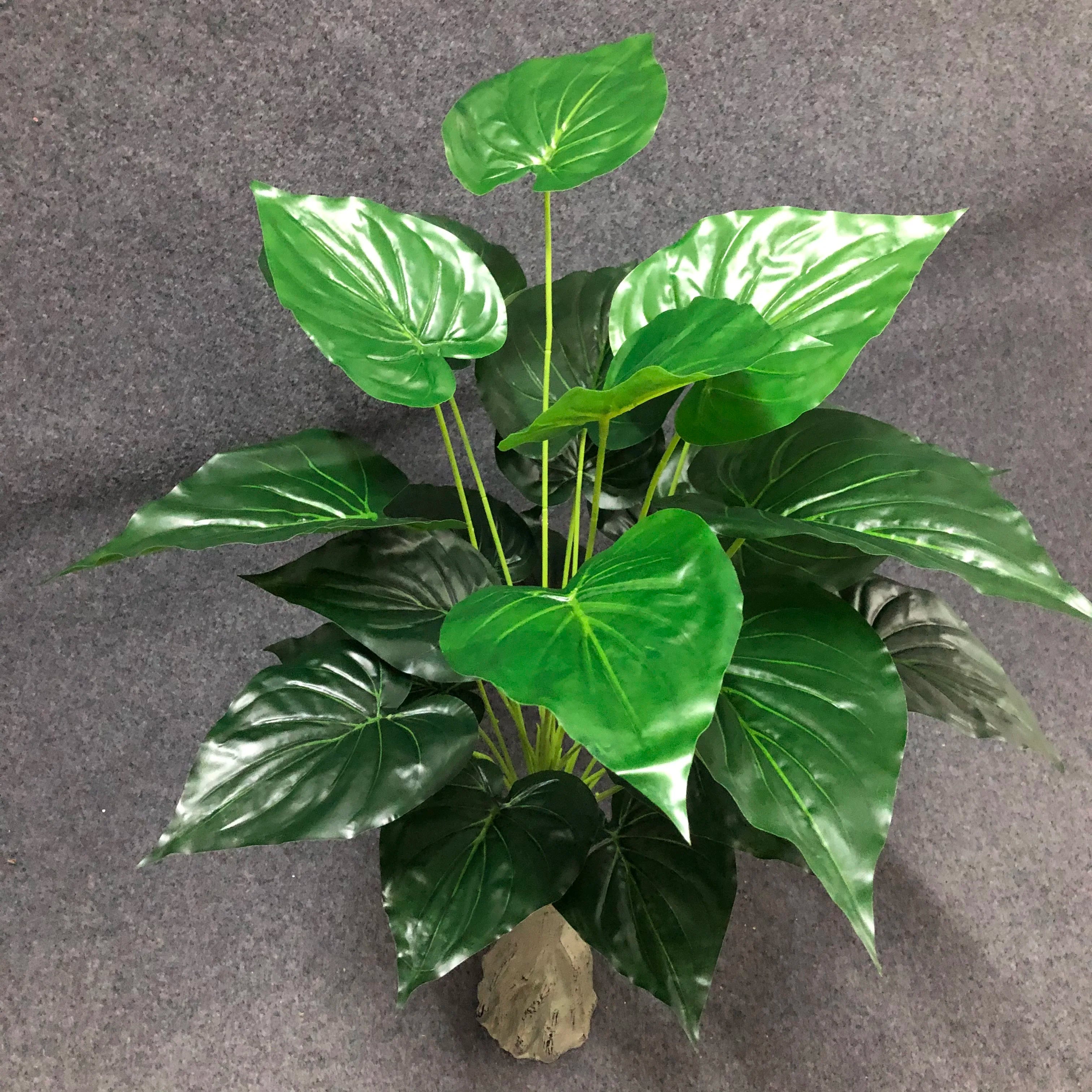 Dlight Decor White Monstera Palm for Bold Floor Styling