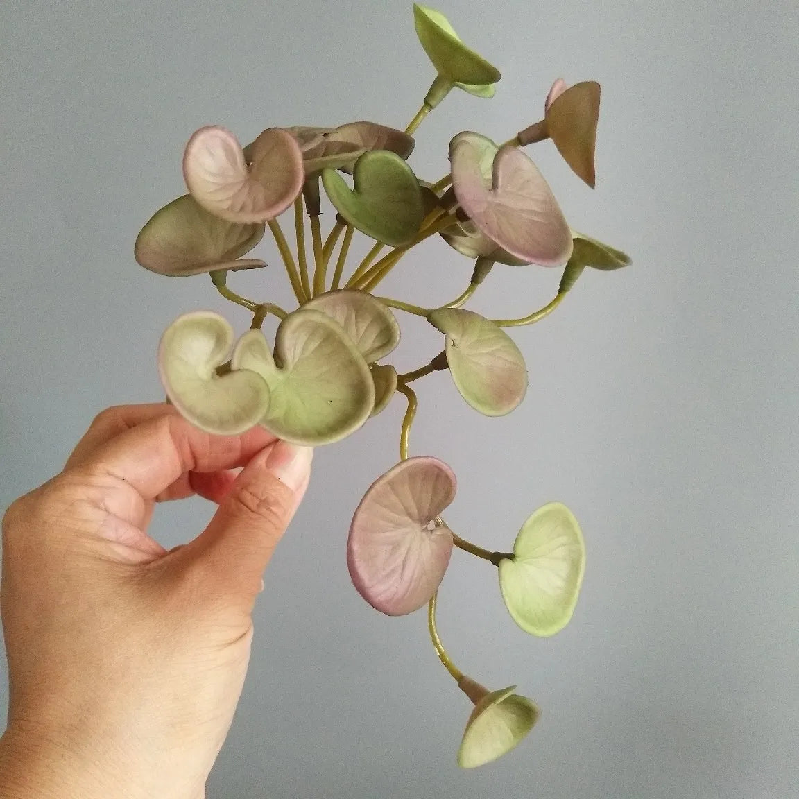 Dlight Decor 15cm Lucky Grass Foliage Bouquet for Home and Bonsai Decor Fen Tongqian