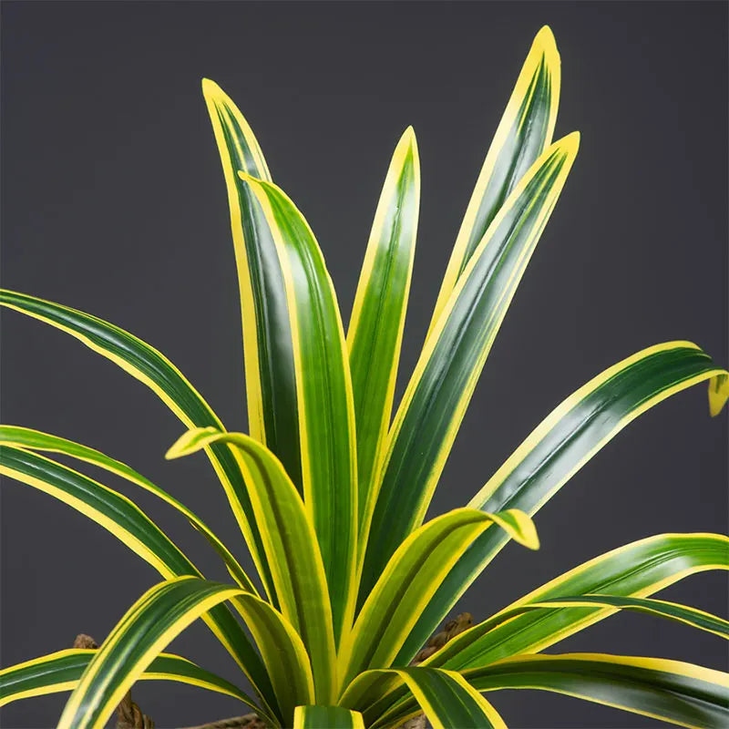 Dlight Decor Bracketplant Palm for Home and Garden Display
