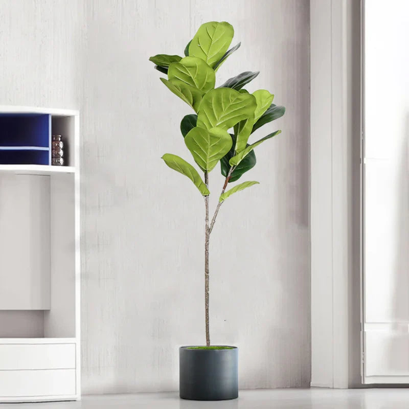 Dlight Decor Tall Ficus Tree for Indoor Outdoor Greenery