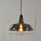 Madison Industrial Pendant: Vintage Charm In Multiple Colors (Clear Amber