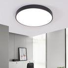 Elise’s Modern Meeting Room Light: Minimalist Led Ceiling Lamp Black / 16’ White