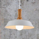 Ava’s Versatile Retro Pendant Light Lighting