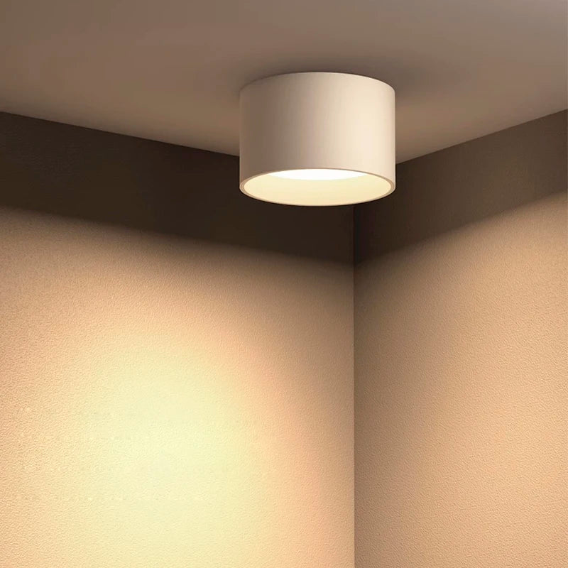 High - Quality Small Led Downlight - Surface Mounted Ceiling Lamp For Living Room Bedroom Kitchen