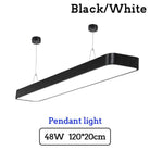 Catalina Elegance Meets Functionality: Led Ceiling Light For Home & Commercial Use White Body /