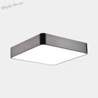 Catalina Minimalism Meets Efficiency: Led Ceiling Mount Light