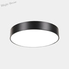 Catalina Minimalism Meets Efficiency: Led Ceiling Mount Light