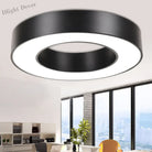 Catalina Minimalism Meets Efficiency: Led Ceiling Mount Light