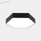 Catalina Minimalism Meets Efficiency: Led Ceiling Mount Light