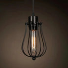 Catherine - Adjustable Industrial Pendant Light With Metal Cage (Various Shapes) Black / Gourd