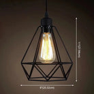 Catherine - Adjustable Industrial Pendant Light With Metal Cage (Various Shapes)