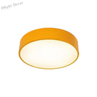 Colorful Fun: Dimmable Led Ceiling Light For Kids