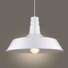 Diana Industrial Chic Pendant: A Versatile Lighting Solution White / 10’