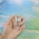 Dlight Decor 6pc Mini One-Sip Glass Set for Tea & Wine 20ml / 6pcs Cocktail Glasses