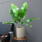 Dlight Decor 78cm Tall Tropical Monstera Plant with Banana Leaves