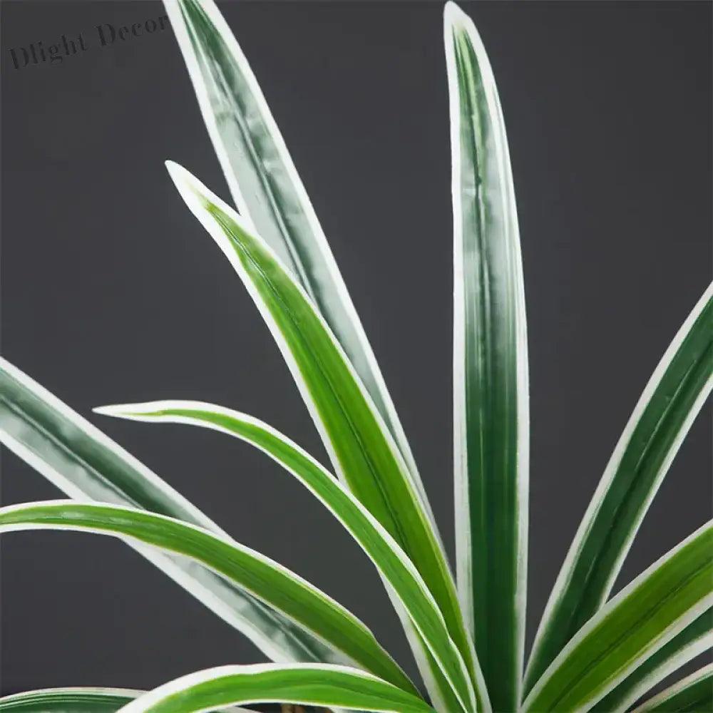 Dlight Decor Bracketplant Palm for Home and Garden Display