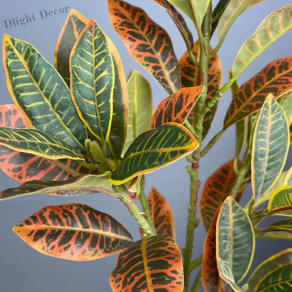 Dlight Decor Codiaeum Ficus Tree for Tropical Indoor Floor Decor