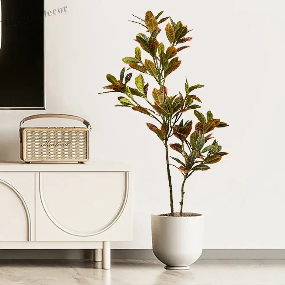 Dlight Decor Codiaeum Ficus Tree for Tropical Indoor Floor Decor