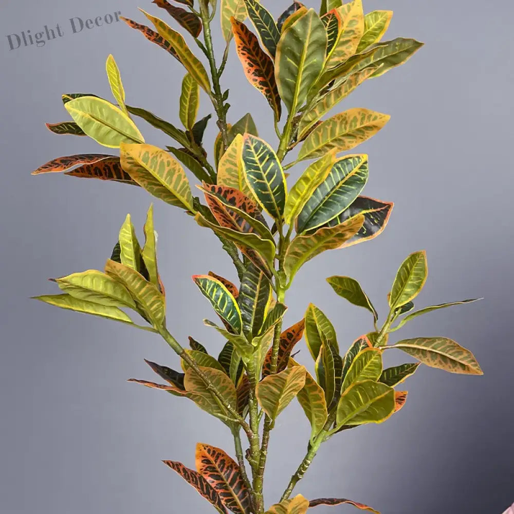 Dlight Decor Codiaeum Ficus Tree for Tropical Indoor Floor Decor