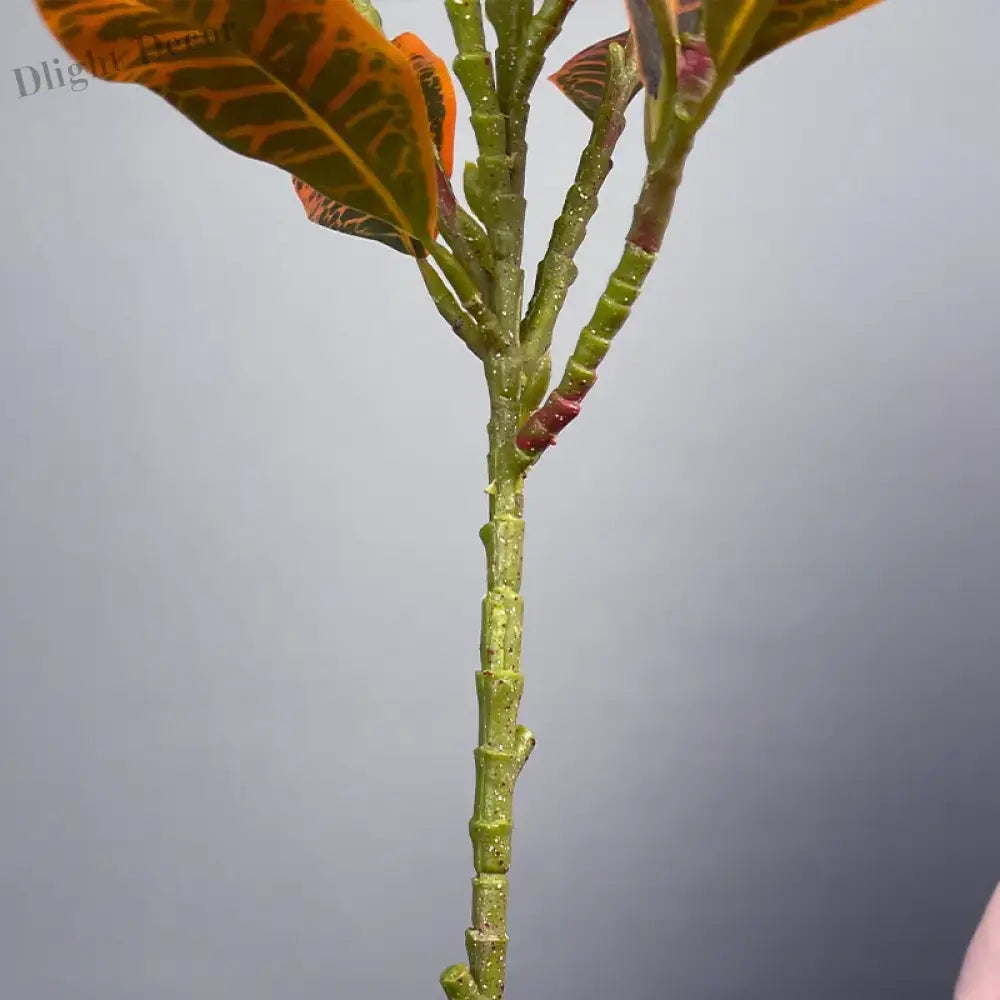 Dlight Decor Codiaeum Ficus Tree for Tropical Indoor Floor Decor