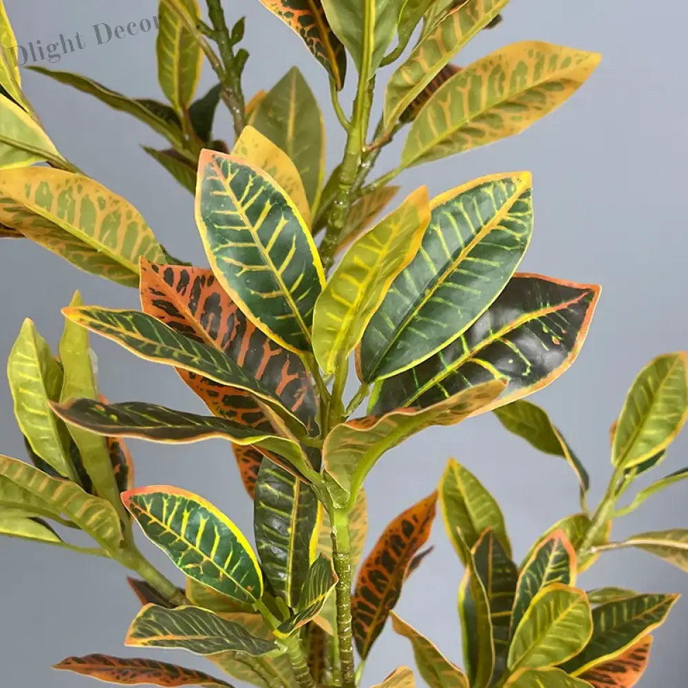Dlight Decor Codiaeum Ficus Tree for Tropical Indoor Floor Decor