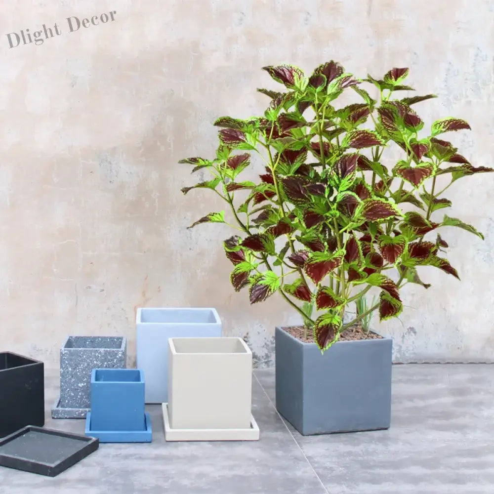Dlight Decor Eucalyptus Tree for Tropical Indoor Floor Styling