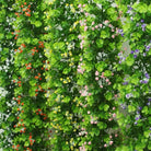 Dlight Decor Eucalyptus Vines with Babysbreath for Wall and Event Decor
