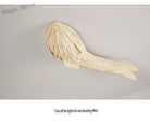 Dlight Decor Japanese Fish Wall Lamp Sculpture Wall Art