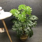 Dlight Decor White Monstera Palm for Bold Floor Styling