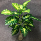 Dlight Decor White Monstera Palm for Bold Floor Styling C / 95cm 24 Leaves