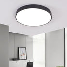 Elise’s Modern Meeting Room Light: Minimalist Led Ceiling Lamp Black / 16’ White