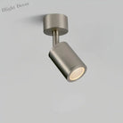 Ella’s Led Ceiling Spotlight In Nickel - 7W Cri97 With Flicker - Free Design And Rotational Accent