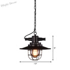 Embolden Your Space With Industrial Elegance: The Black Iron Ceiling Pendant Clear Glass Shade