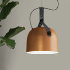 Embrace Industrial Charm And Modern Flair: The Iron Bowled Pendant Lamp