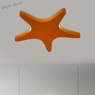 Emily Yellow/Orange/Blue Led Cartoon Star Ceiling Light For Kids Room