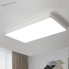 Envision Modern Simplicity: The Aurora Flush Mount