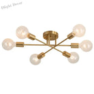 Eva’s Brushed Antique Gold Ceiling Light