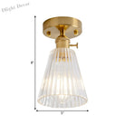 Industrial Chic Meets Modern Versatility: The Clear Glass Single - Light Gold Ceiling Light