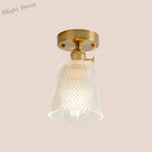 Industrial Chic Meets Modern Versatility: The Clear Glass Single - Light Gold Ceiling Light