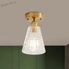 Industrial Chic Meets Modern Versatility: The Clear Glass Single - Light Gold Ceiling Light